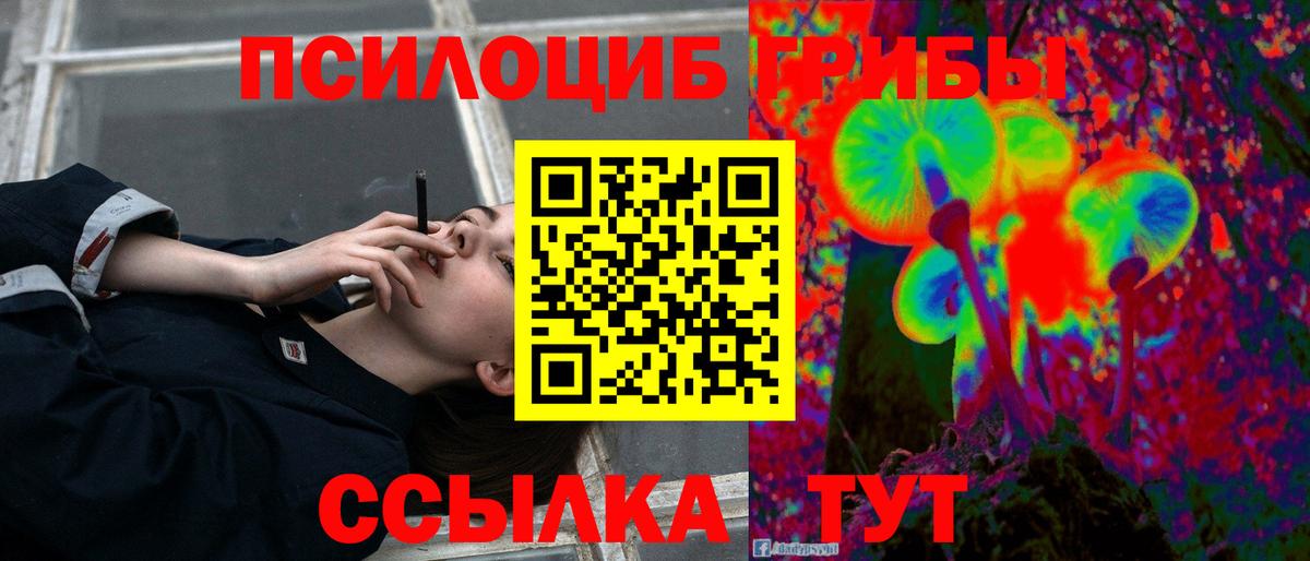Галлюциногенные грибы прущие грибы Сланцы
